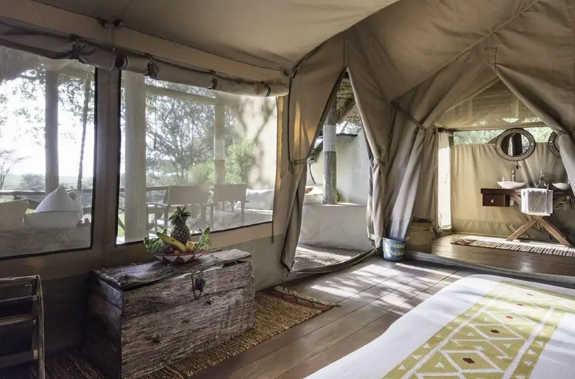 10.webp