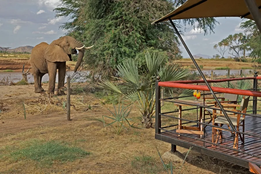 ashnil-samburu-camp-2.webp
