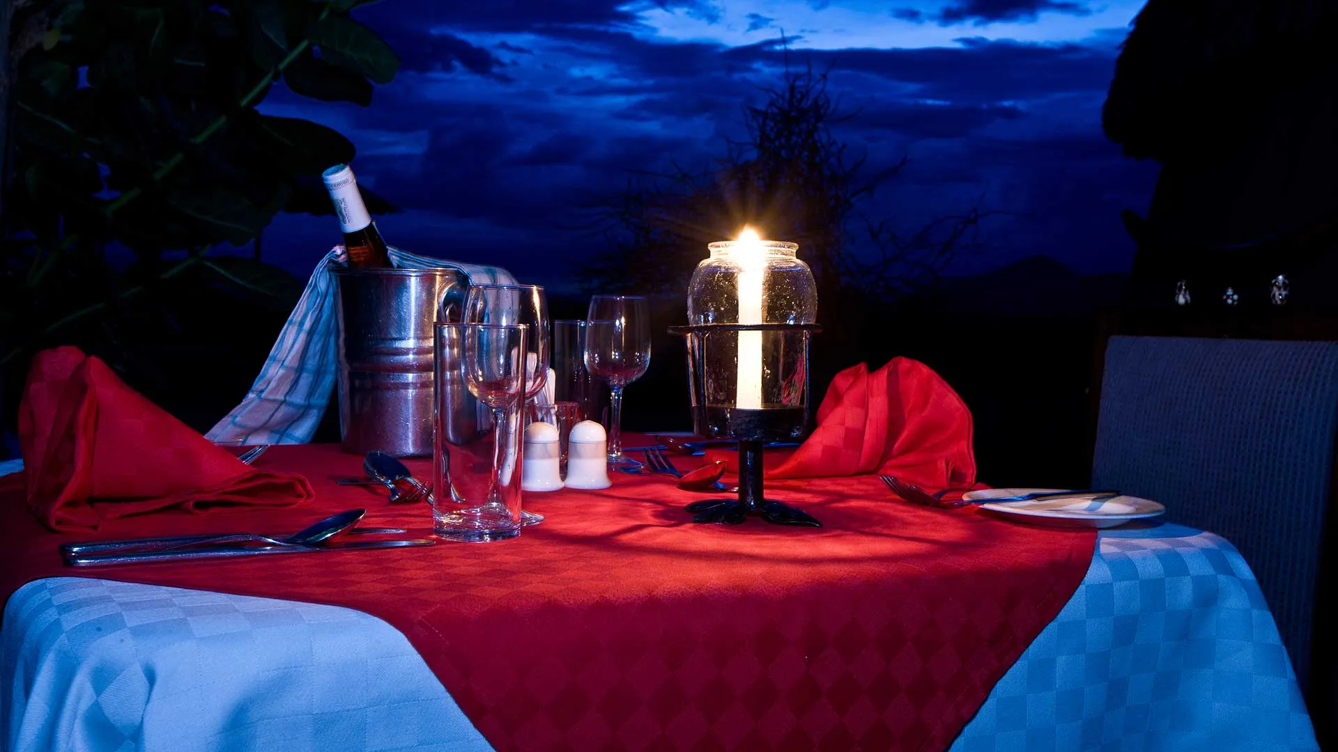 dining-moonlight8f973fc6-f625-445f-347d-e311ff06c514.webp