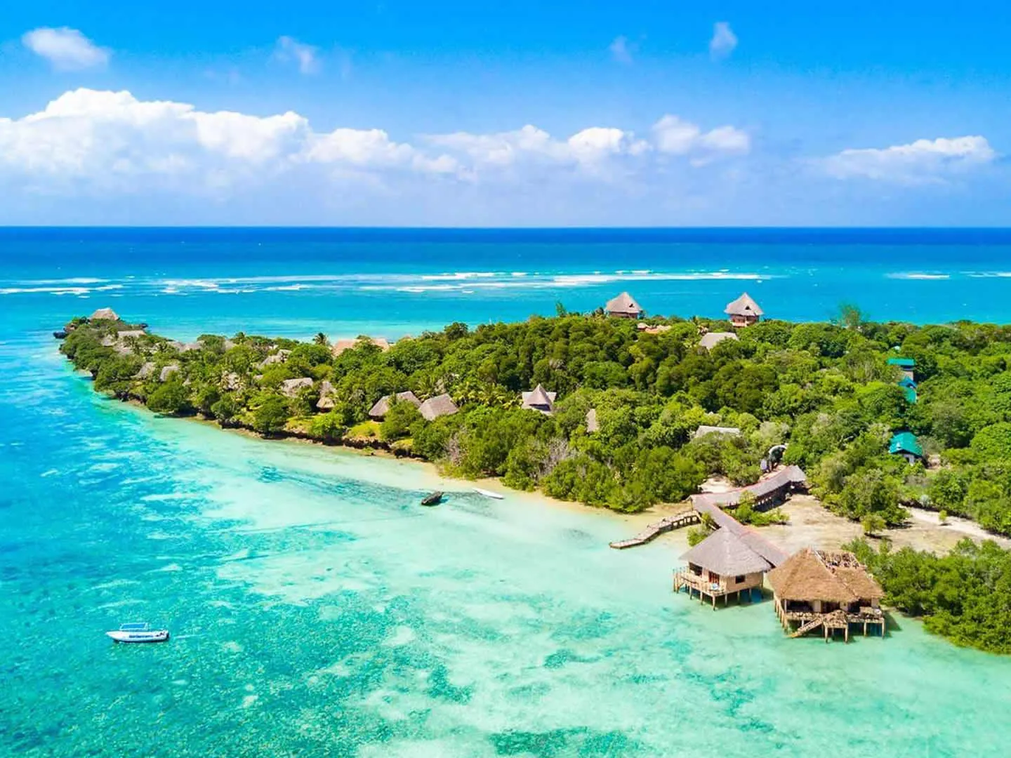 funzi-island-1-1.webp