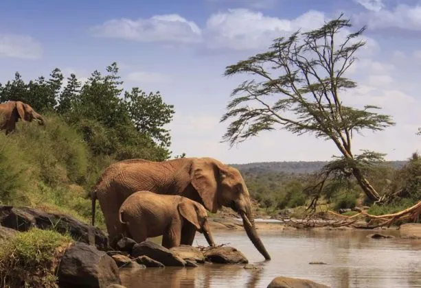 gallery-samburu-1-613x420.webp