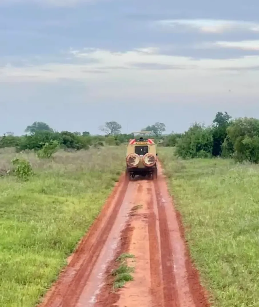 Tsavo west Bushy