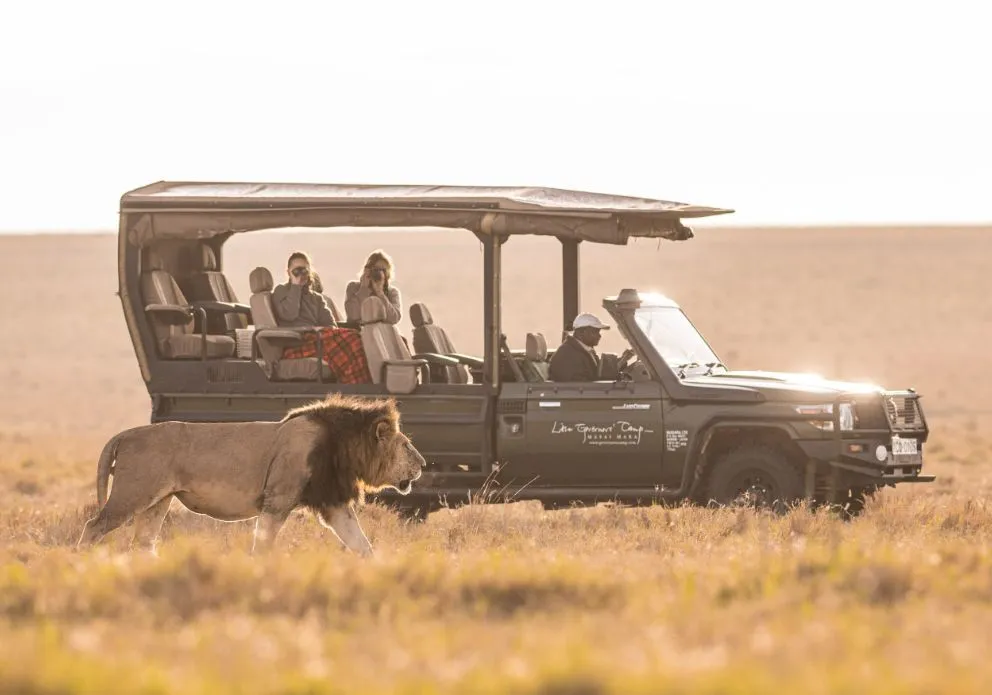 on-safari-7.webp
