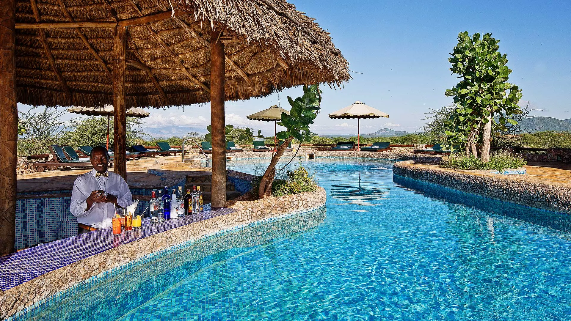 pool-and-bar5afc02de-0d09-a3cc-295d-b4a2a7e2c940.webp