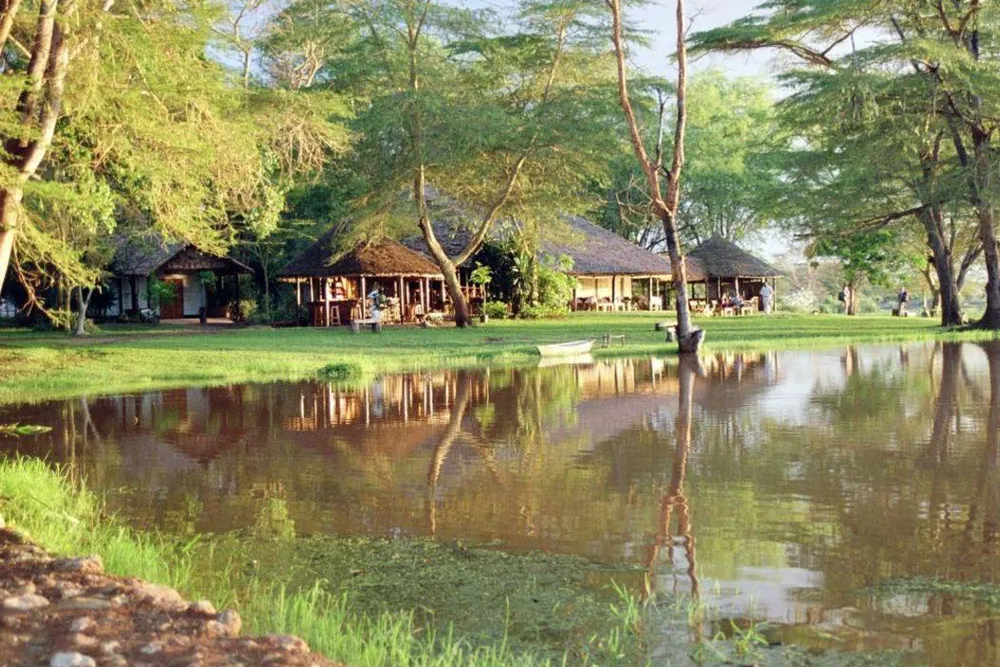 voyager-ziwani-safari-camp.webp
